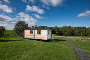 Cow Parsley Shepherd's Hut